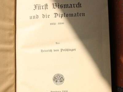 Bismarck und die Diplomaten