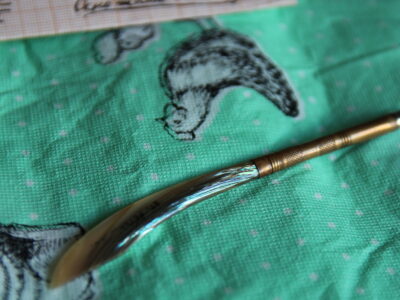 Сувенир начала 20 века - St. Petersburg (Флорида), США