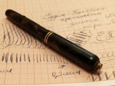 Eggens Hambler Turtle